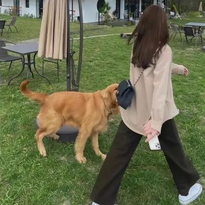 凌天独尊
